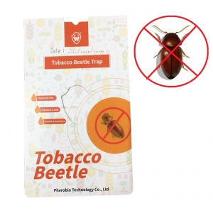 Bẫy bọ thuốc lá Tobacco Beetle Trap