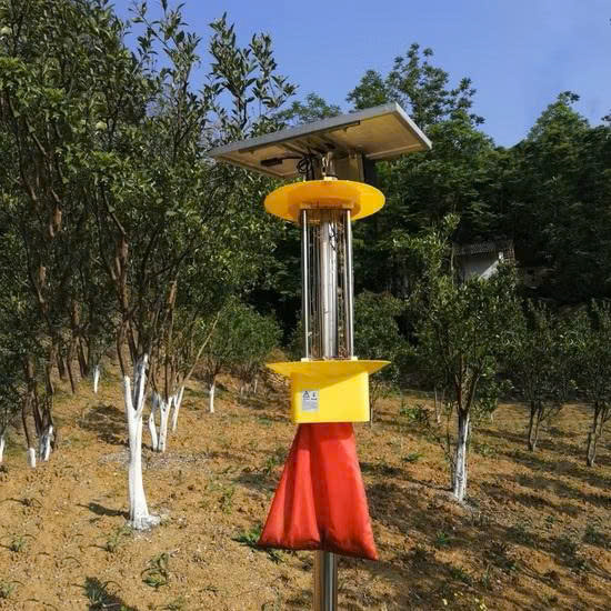 Đèn bẫy con trùng năng lượng mặt trời BS-15W