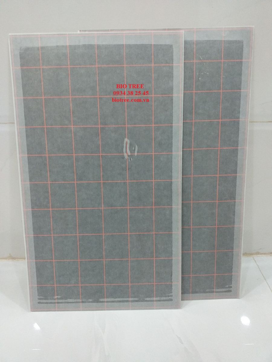 TẤM KEO ĐÈN BẪY